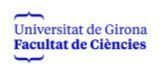 udg partner practicas